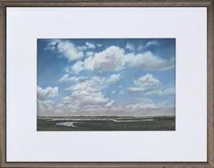 Coastal Marsh Windy Day