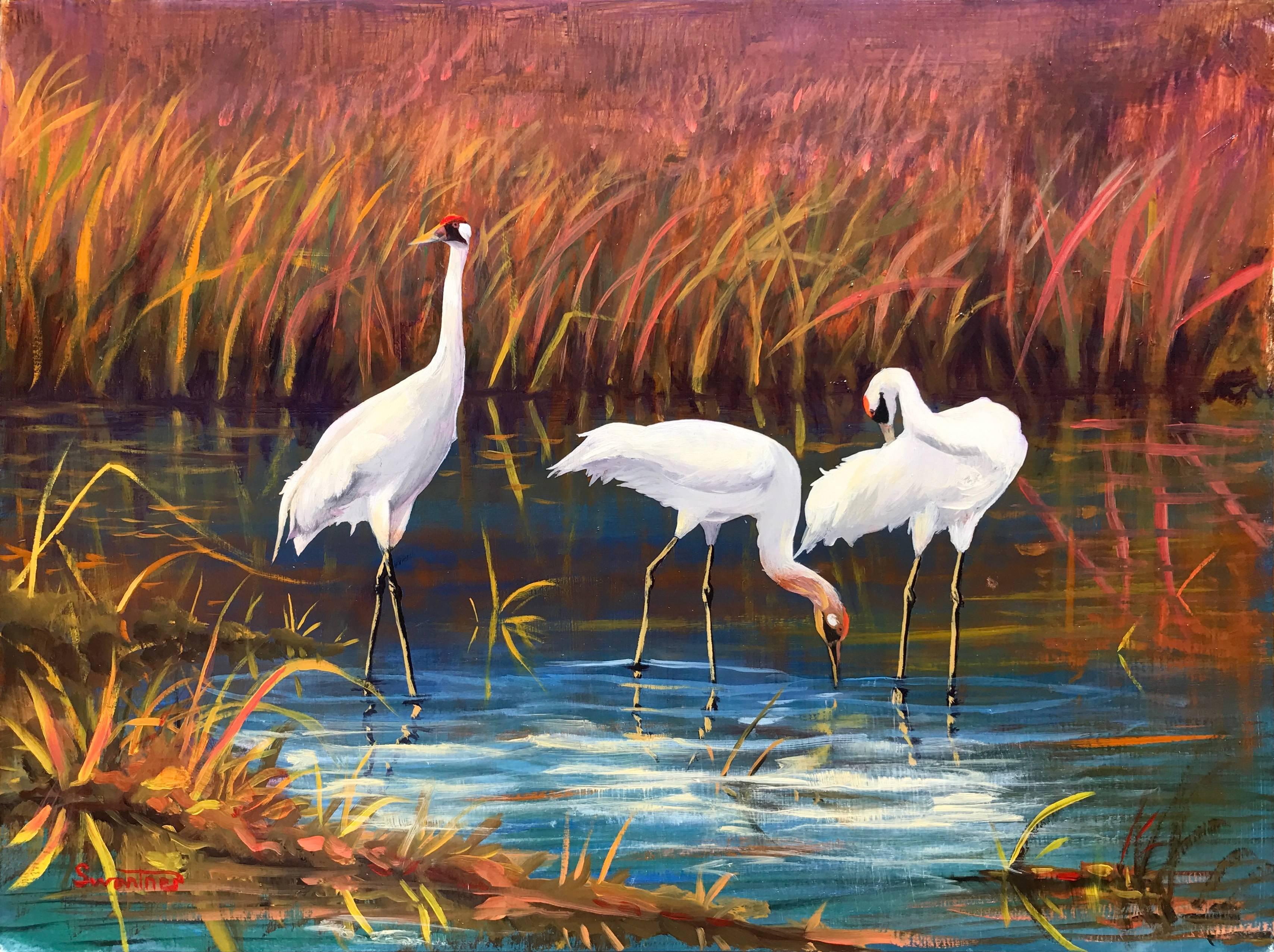 David Swantner Landscape Painting - Whooping Cranes Feeding