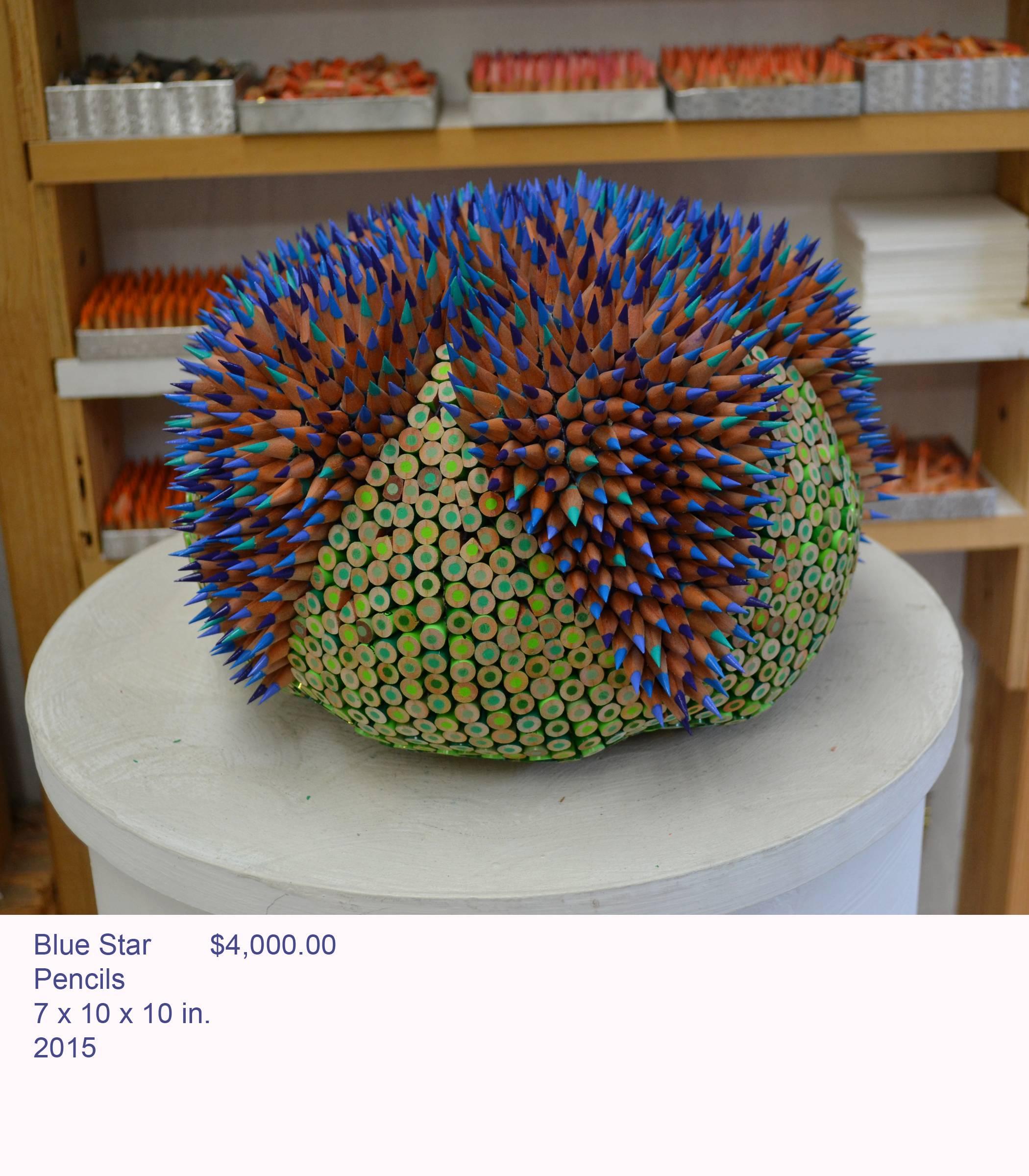 Blue Star For Sale 1