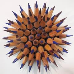 Indigo Sea Urchin