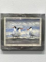 Whose Tern Is It?