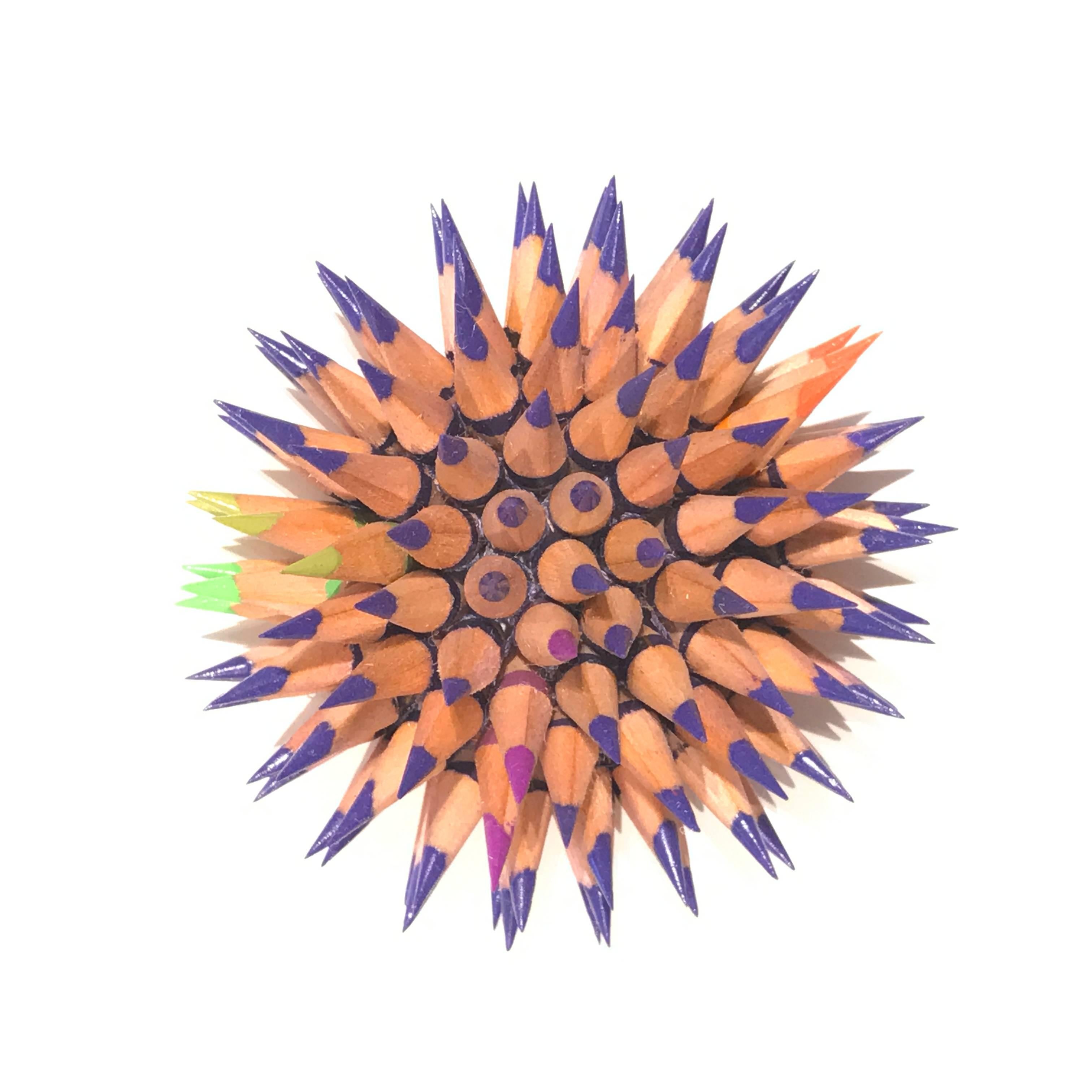 Indigo and Fuschia Sea Urchin - Mixed Media Art by Jennifer Maestre