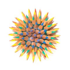 Rainbow Sea Urchin