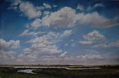 Coastal Marsh Windy Day