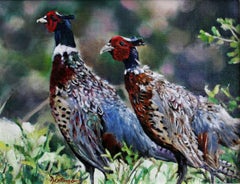 Pheasant Walk