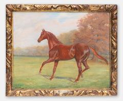 Horse Named Judic