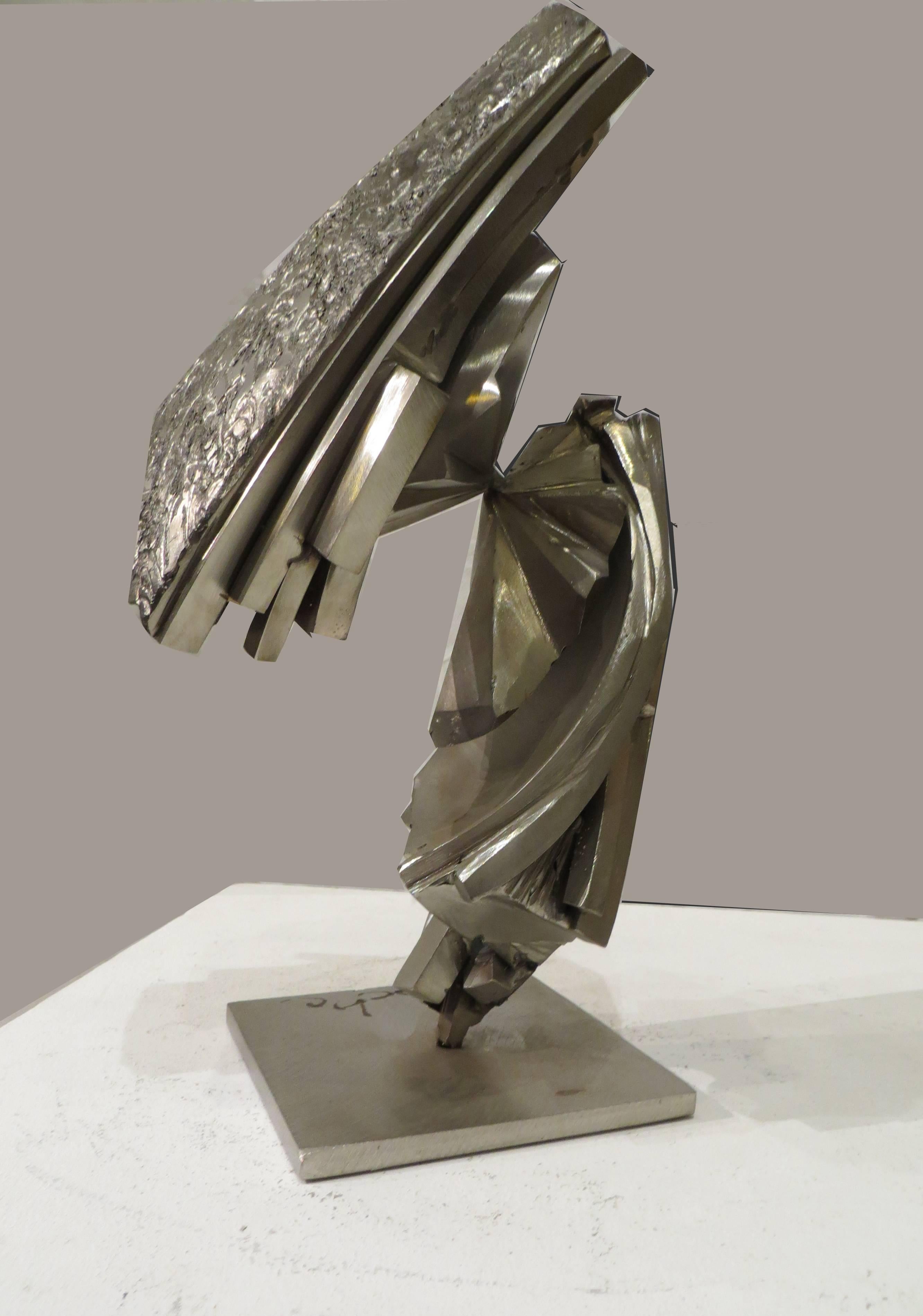 Guillaume Roche Abstract Sculpture - EXCLOS 156 Stainless Steel 