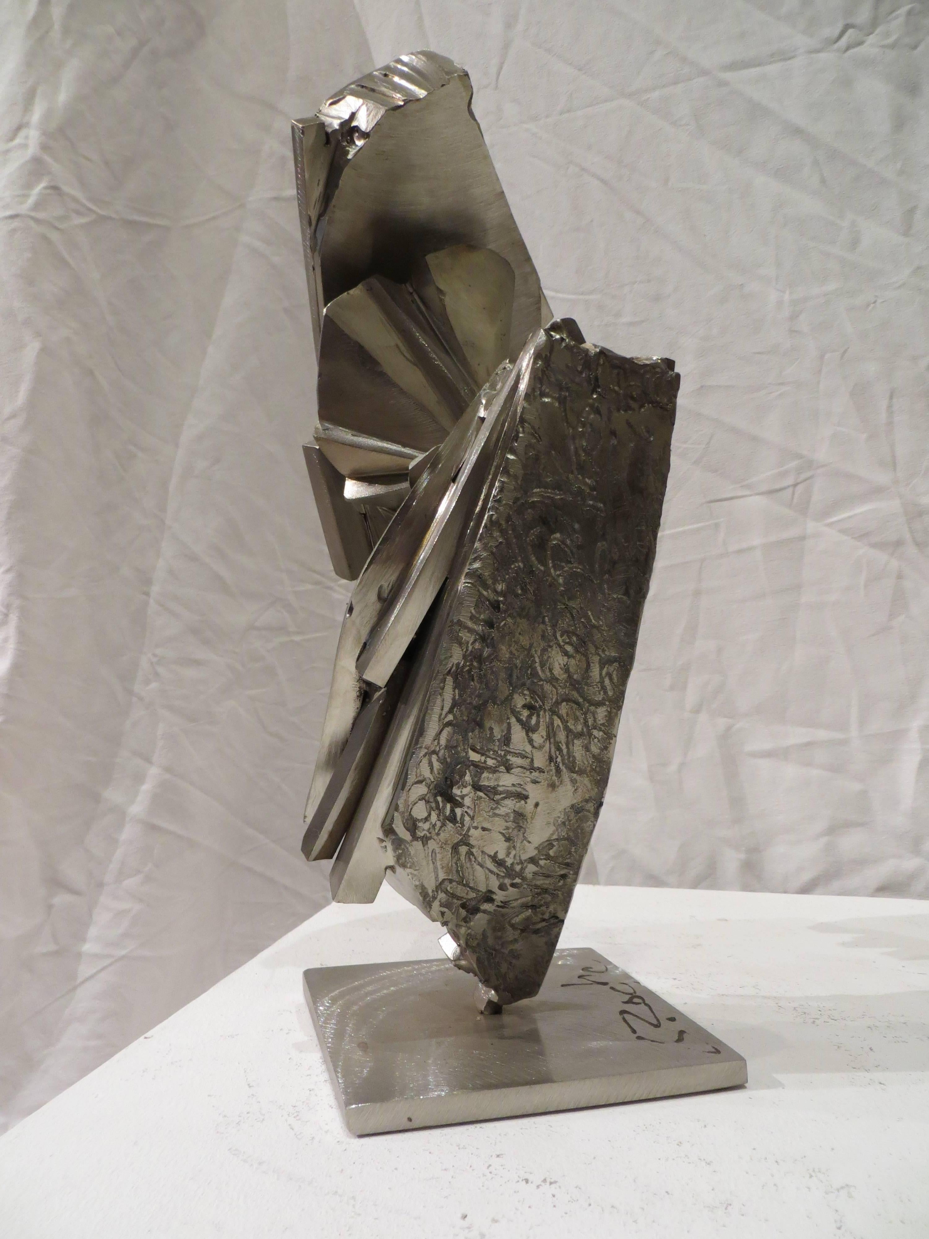 EXCLOS 156 Acier inoxydable  - Gris Abstract Sculpture par Guillaume Roche