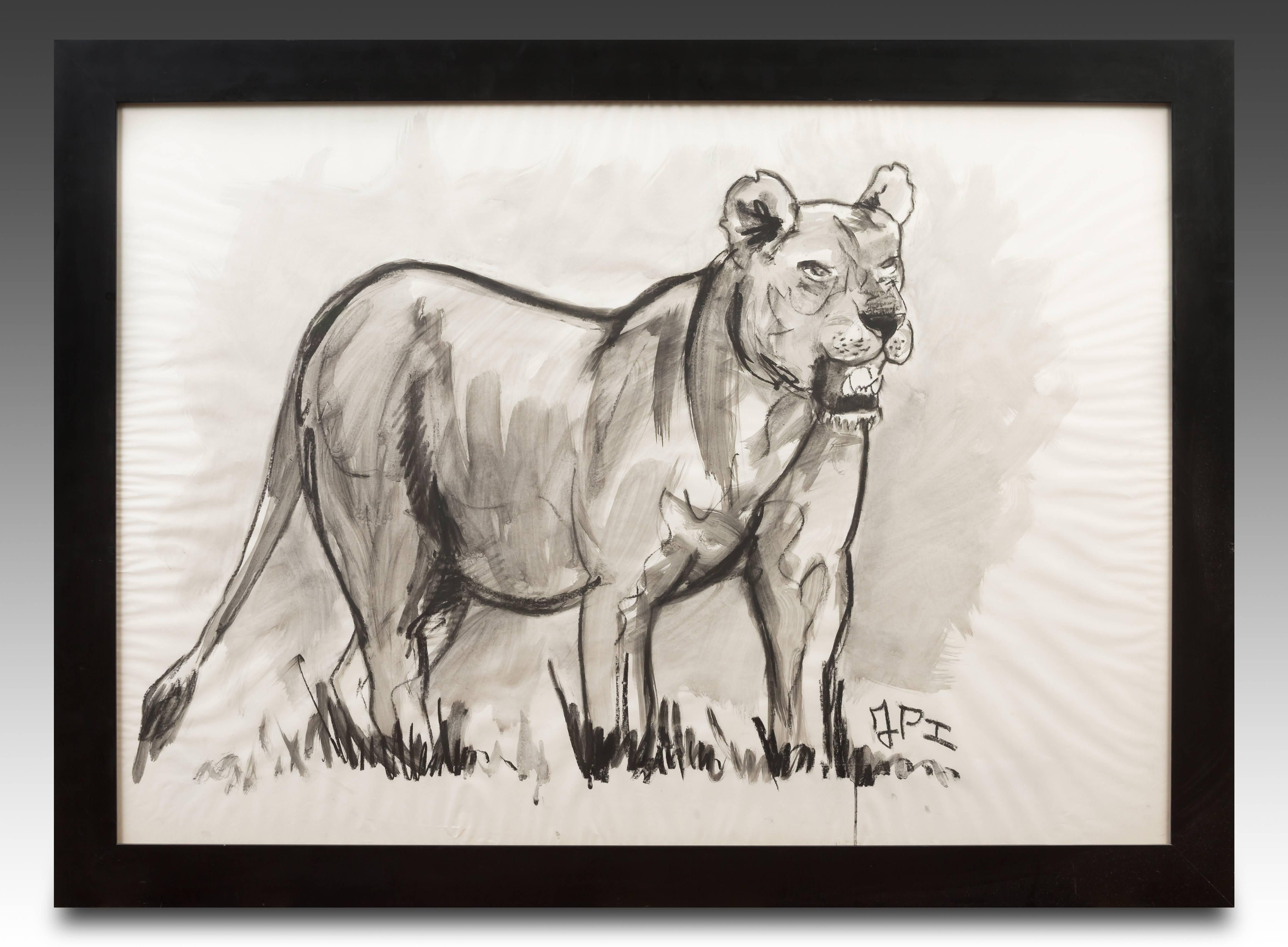 Lioness Fusain Drawing by Jean Poulain