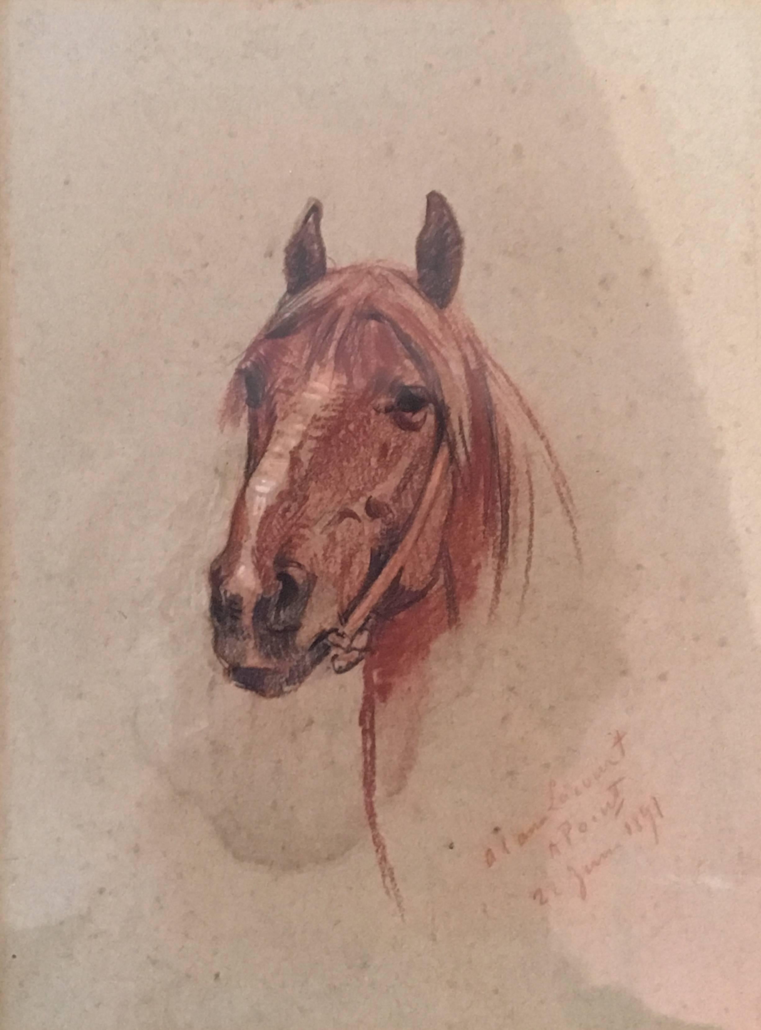 Study  of a horse - Art by Armand Point