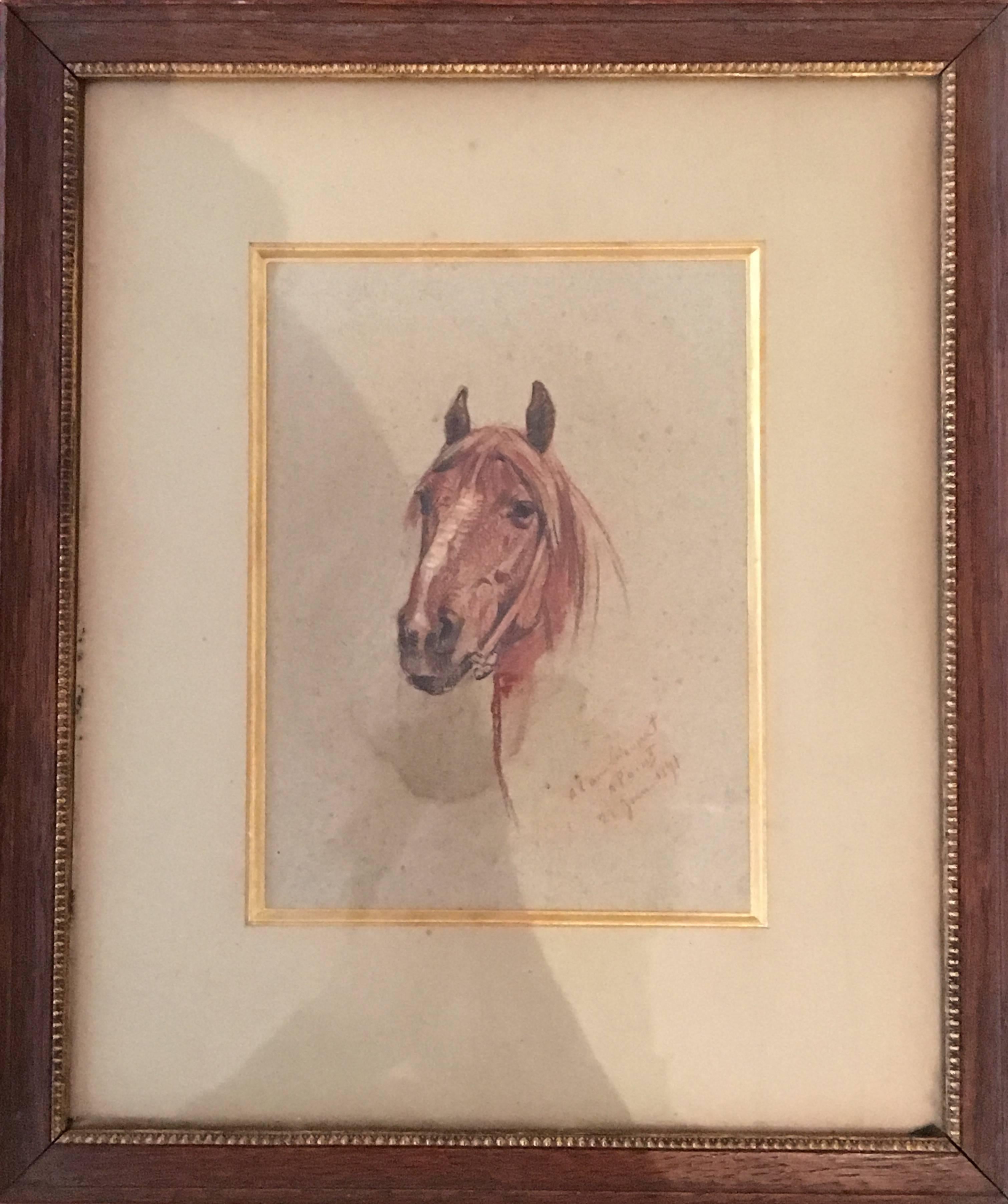 Armand Point Animal Art - Study  of a horse