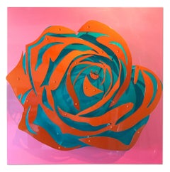 Rose bonbon - orange sur rose