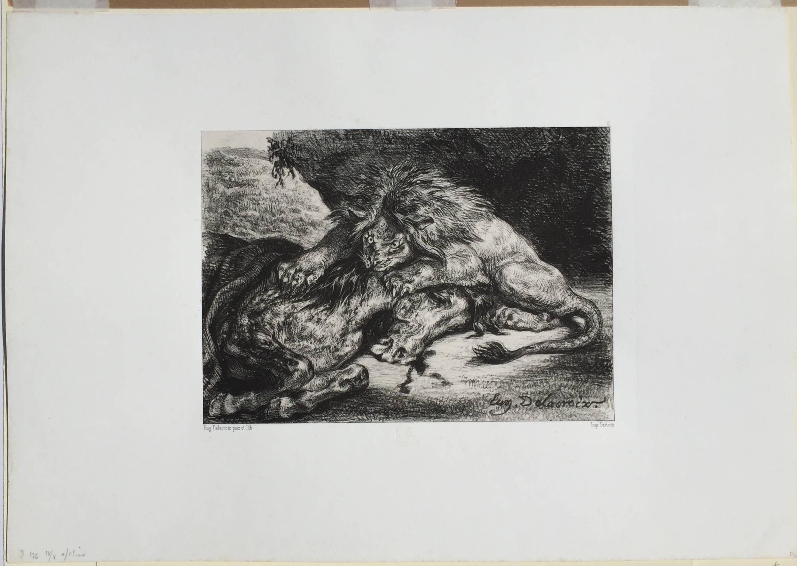 LION DEVORANT UN CHEVAL  - Lion Devouring a Horse - Print by Eugene Delacroix