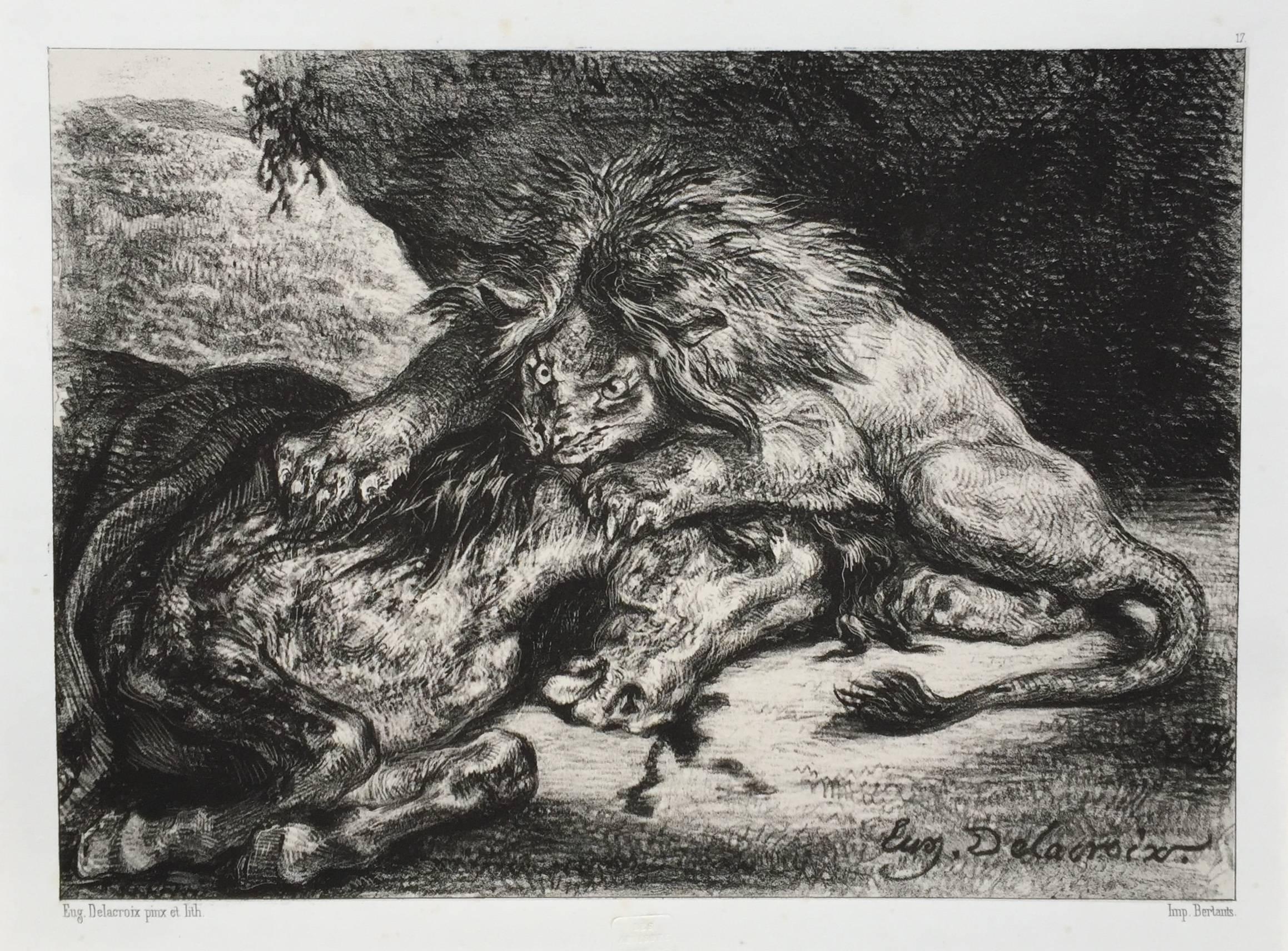 Eugene Delacroix Print - LION DEVORANT UN CHEVAL  - Lion Devouring a Horse