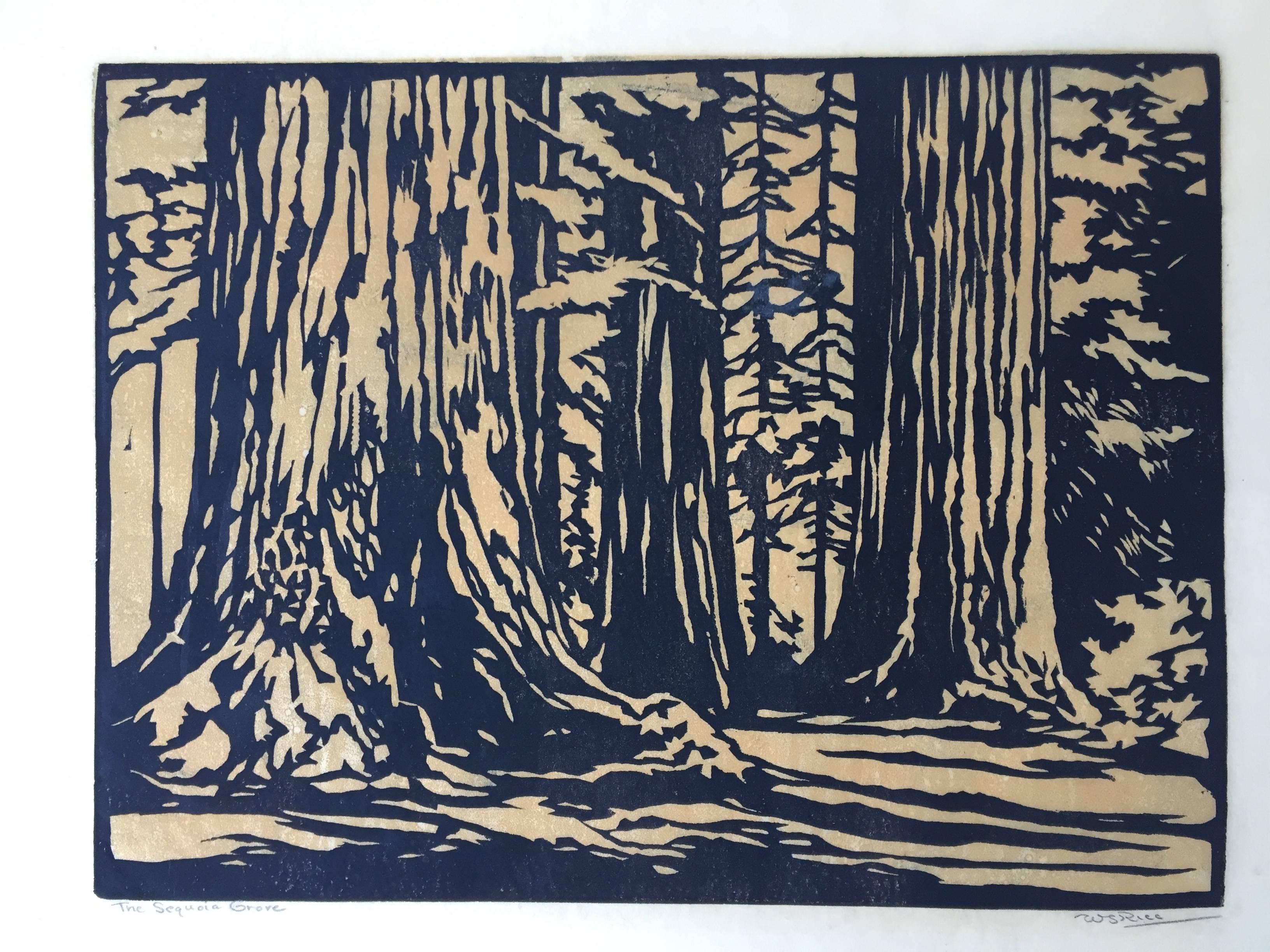 THE SEQUOIA GROVE - Print by William Seltzer Rice