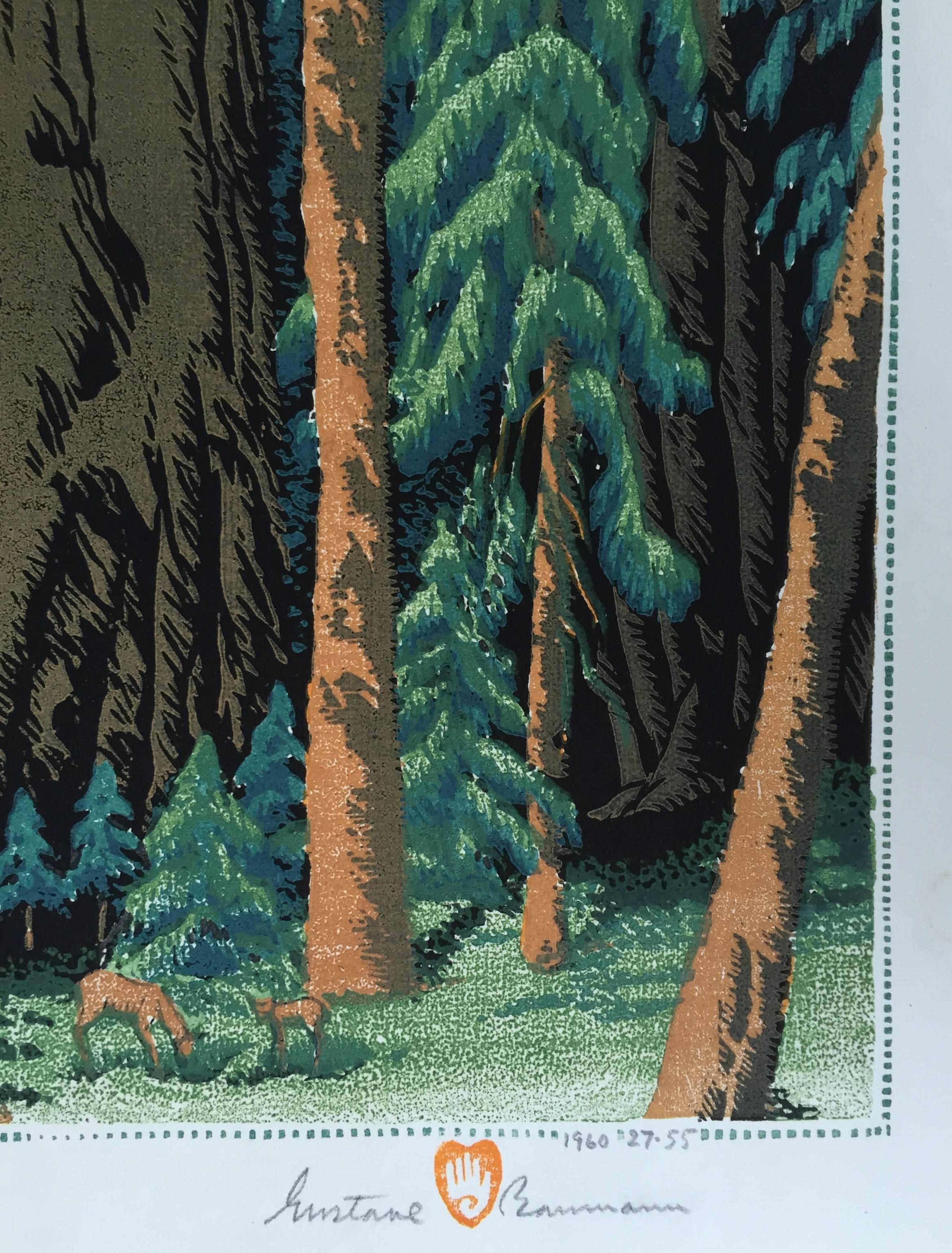 GUSTAVE BAUMANN (1881 -1971) 

 SEQUOIA FOREST 1935 (60) (Chamberlain 146.2) 
 Farbholzschnitt. Signiert mit Bleistift und mit dem Hand- und Herzstempel. Nein. 
 35-55:: 13 x 13 Zoll. Baumann hat die Blöcke und Farben manchmal verändert 
 Im Laufe