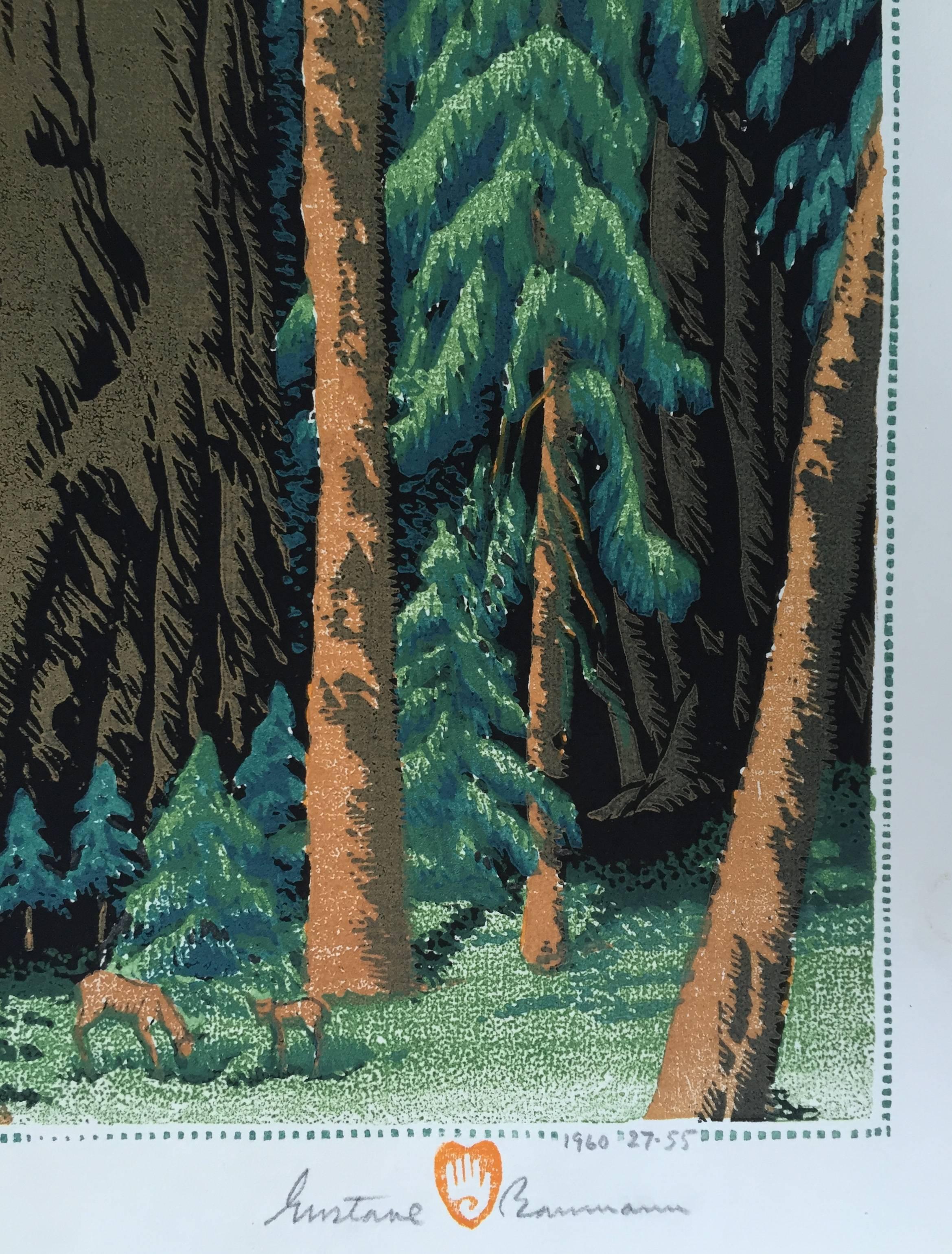 Sequoia Forest - American Modern Print by Gustave Baumann