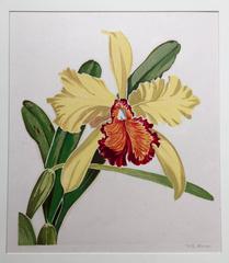 ORCHID 1