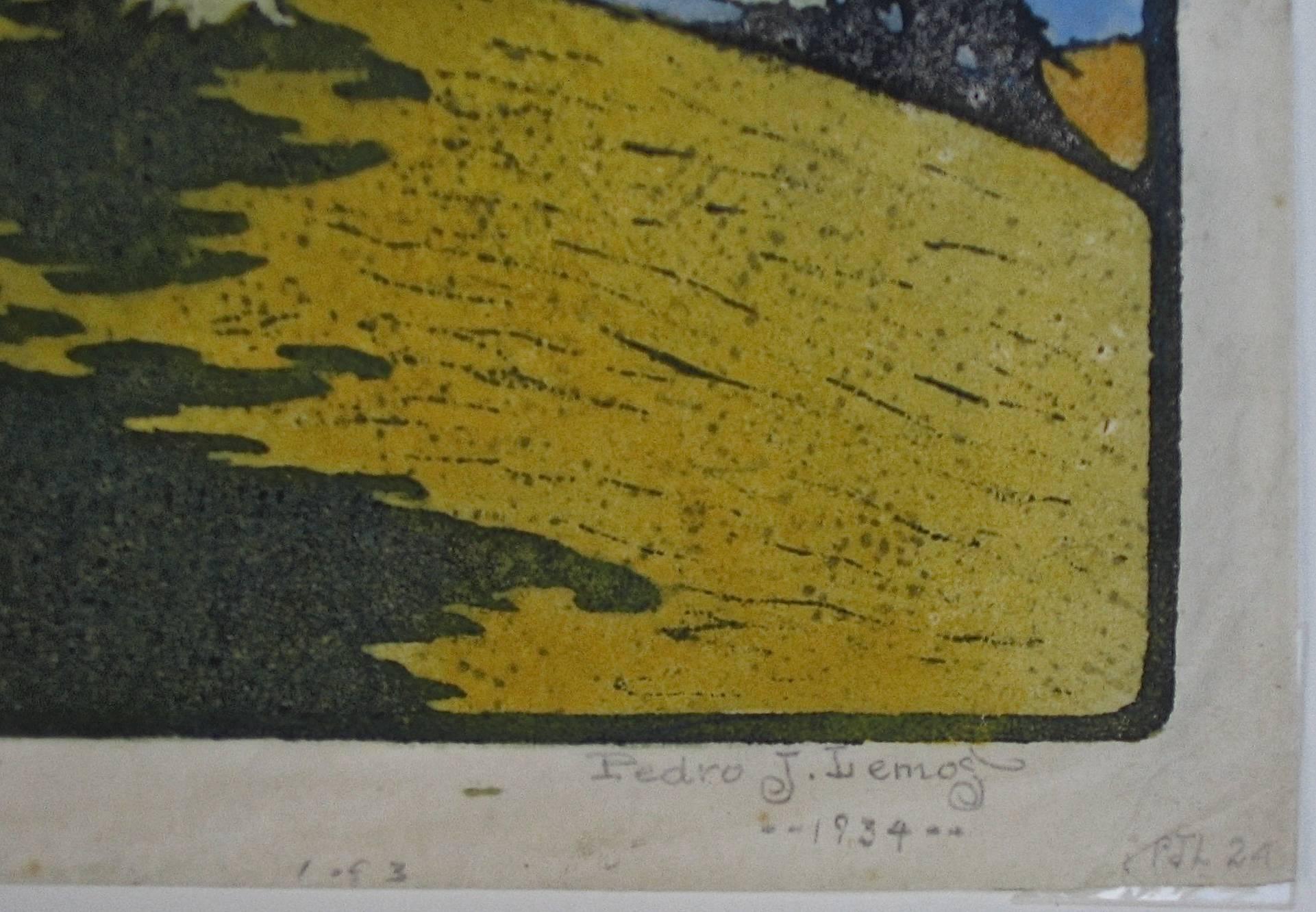 TOP OF THE HILL - Print by Pedro De Lemos