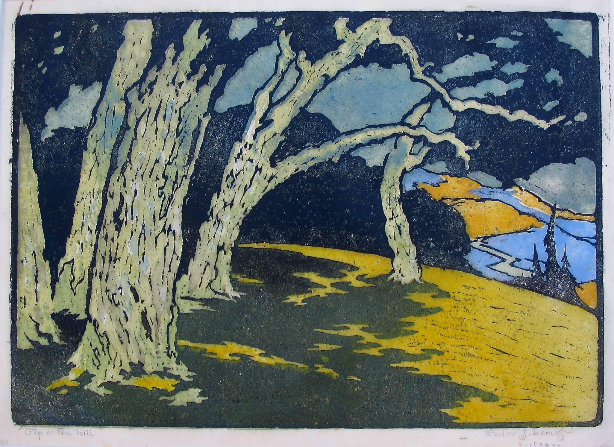 Pedro De Lemos Landscape Print - TOP OF THE HILL