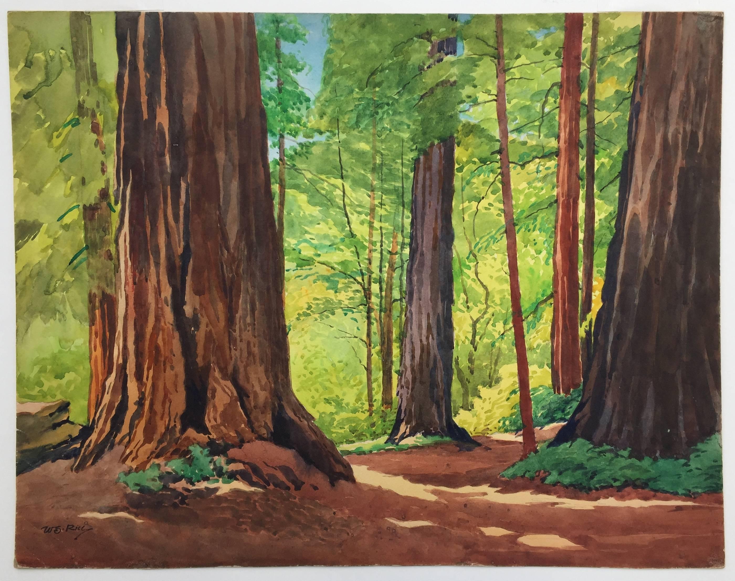 William Seltzer Rice Landscape Art - Very Large - Sunlight in Redwoods