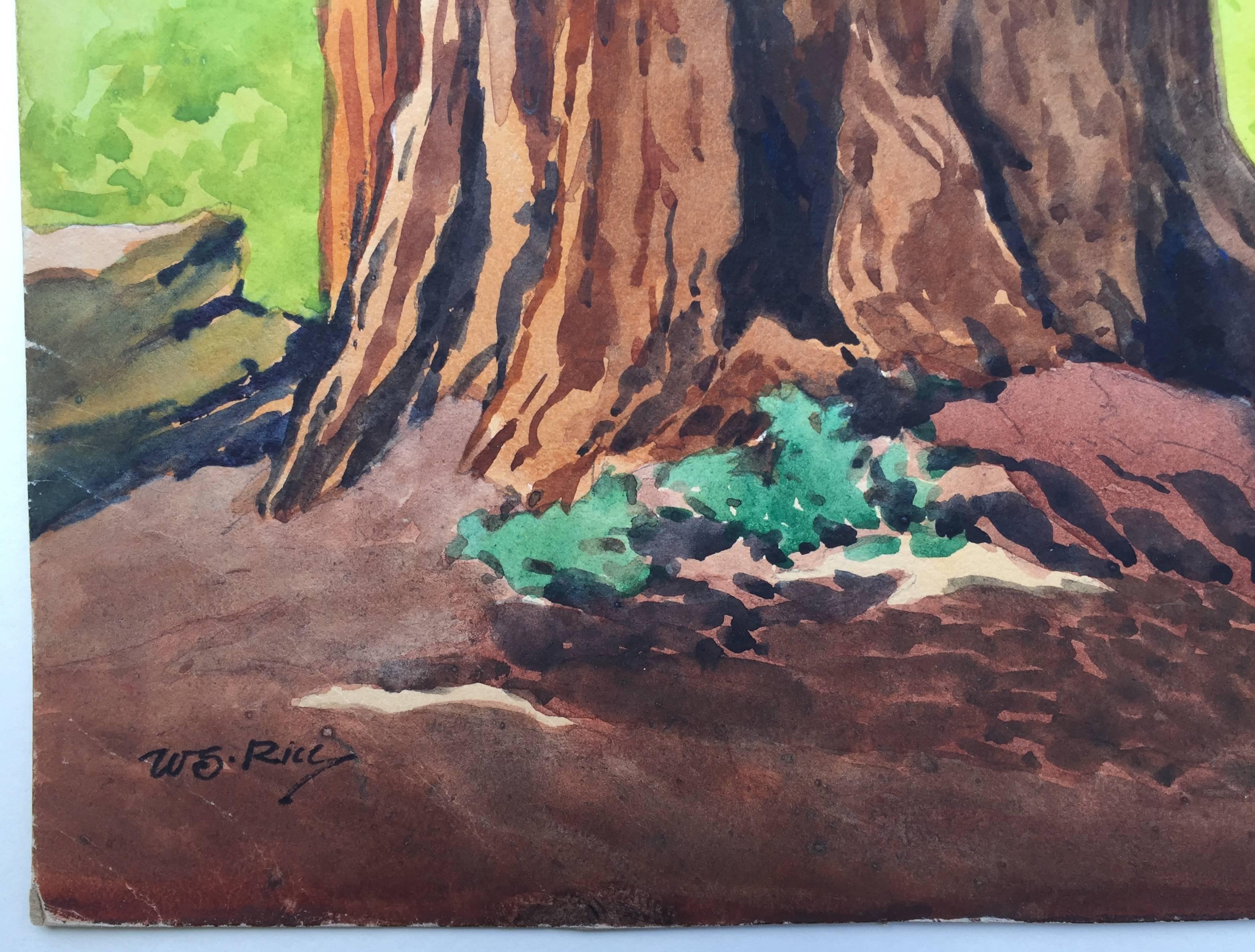 redwood art