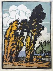 Wind Blown Poplars 4