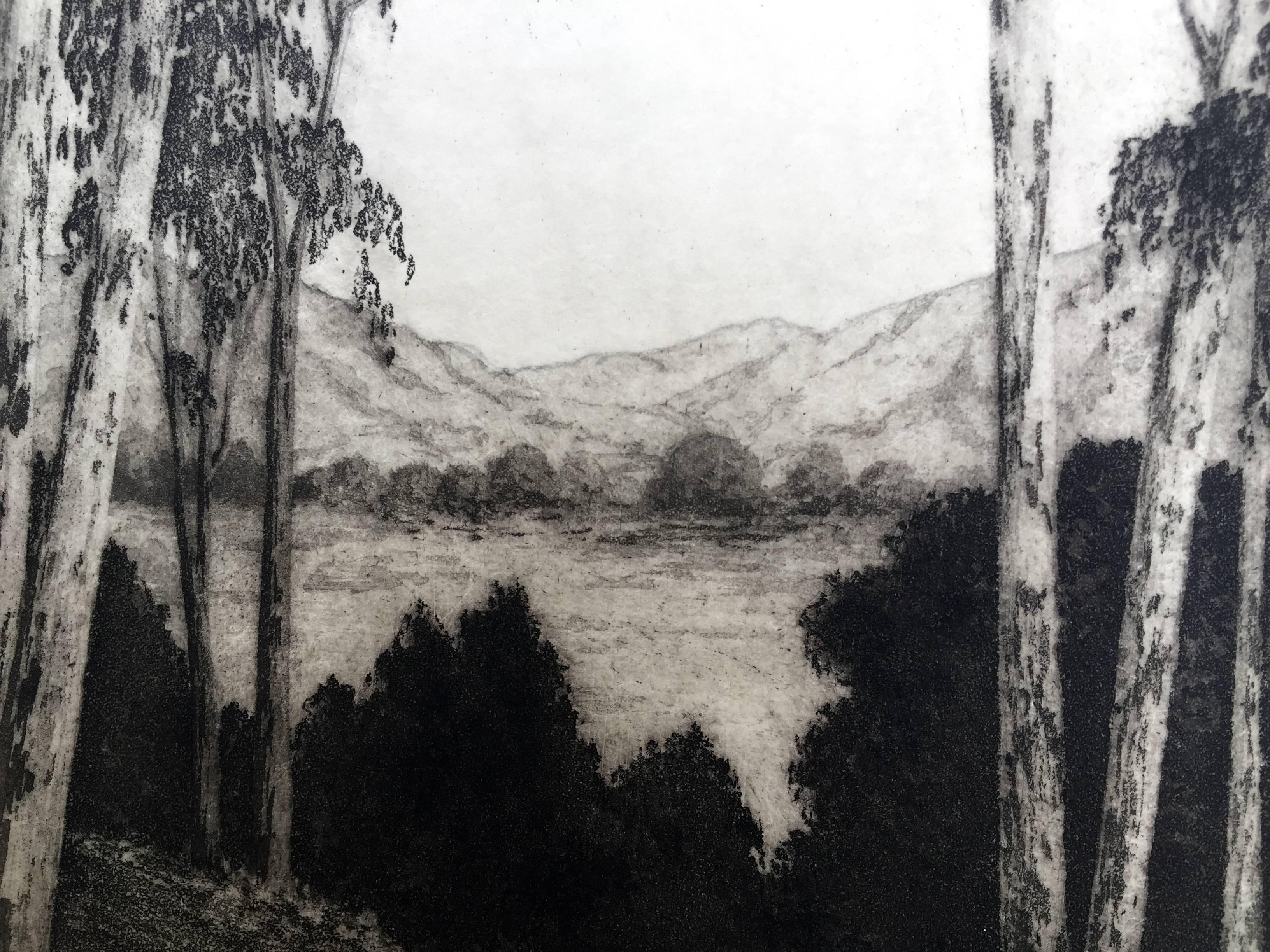 VISTA DE CALIFORNIA - Print realista estadounidense de Harold Lukens Doolittle