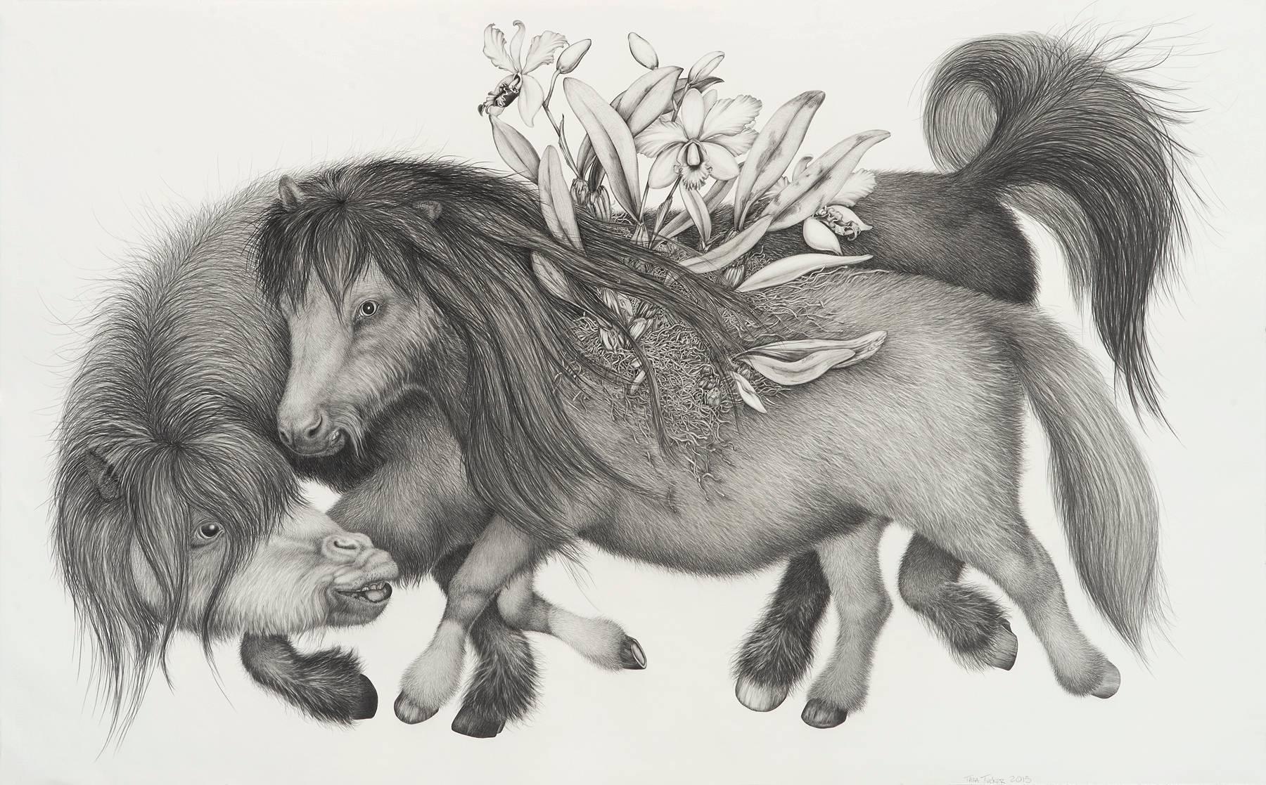 Tara Tucker Animal Art - Pocket full'a horses