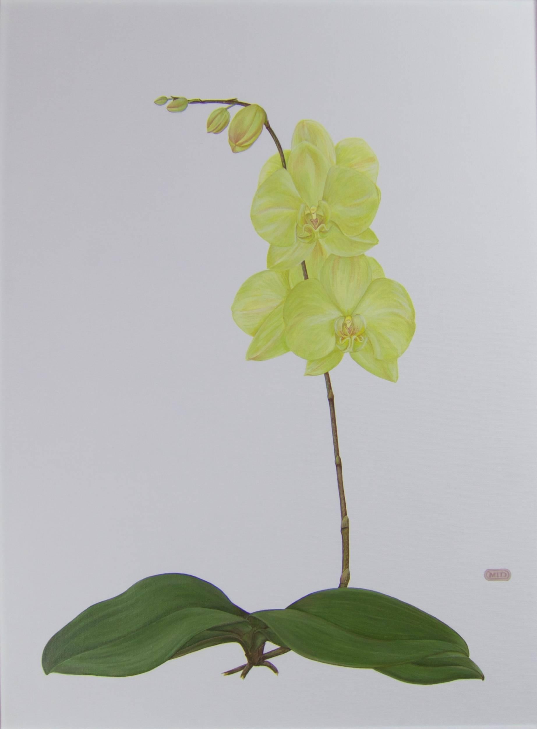 Marcia I. Dawson Still-Life Painting - Hyperrealist botanical - Orchid no.2