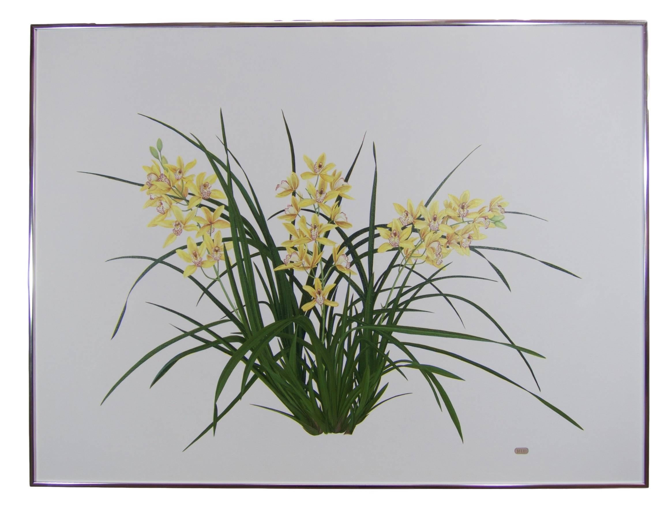 Large hyperrealist botanical of an orchid plant - I - Painting by Marcia I. Dawson