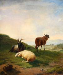 Sheep and Goats in a Landscape