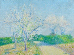 Arbres en fleurs