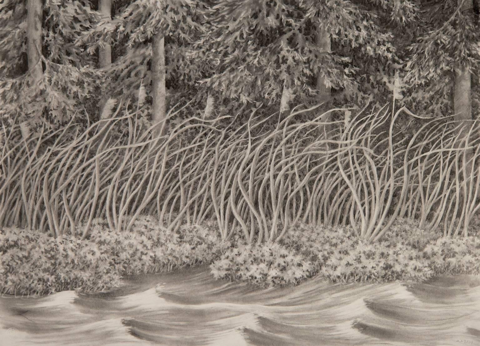 In Four Things in the Wind, Bray draws in charcoal and Conté crayon to create the shore of a river on a windy day. The artist utilizes his bendy, rhythmic style to animate the elements of the scene, in particular the rivergrass and the water