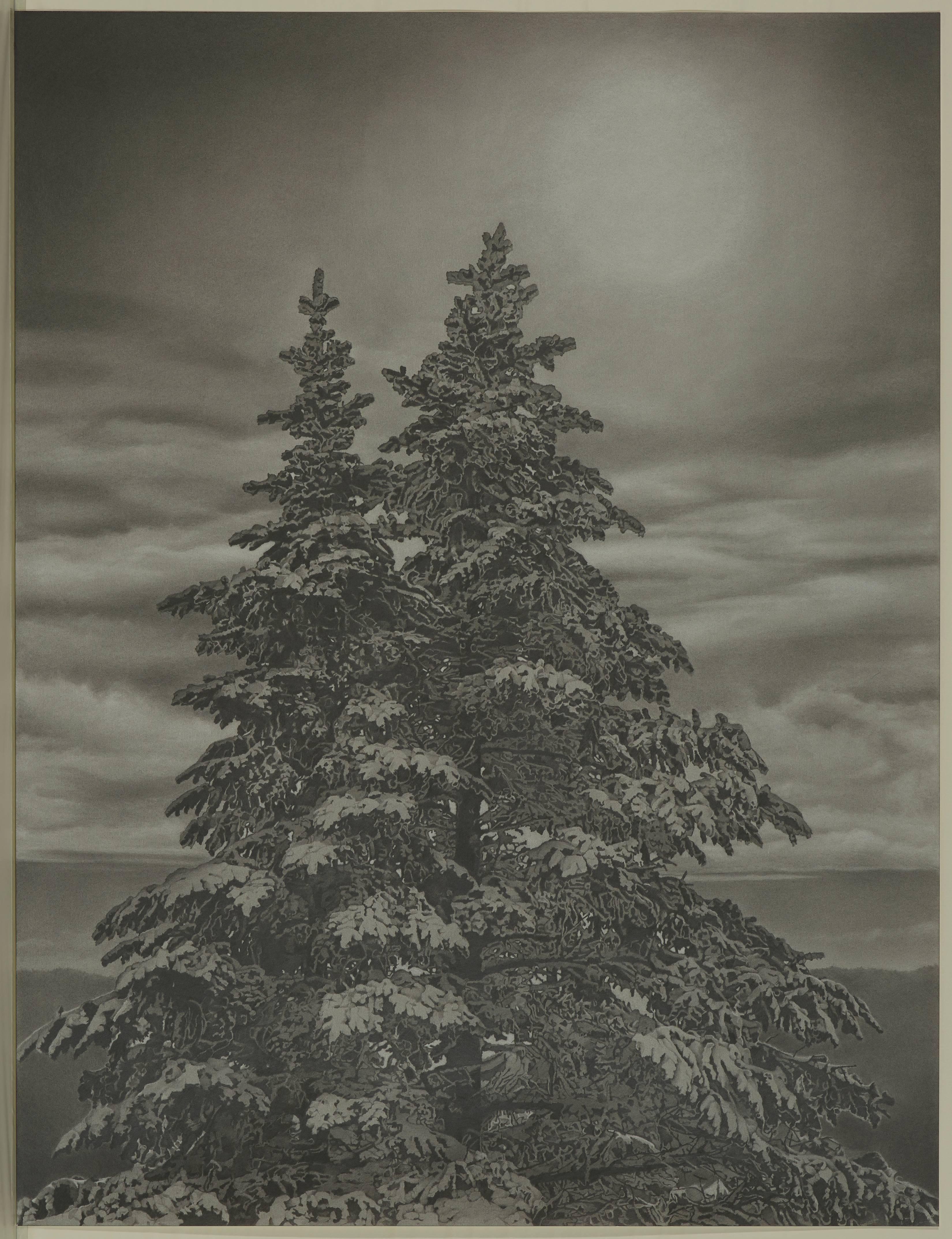 Mary Reilly
Twin Spruce, 2016
Graphite on paper
50 x 38 inches
Framed dimensions: 58 x 46 x 2 inches

Reilly uses a toning technique to endow her graphite works with a smooth, seamless quality. Rather than distinct outlines, her pine needles glide