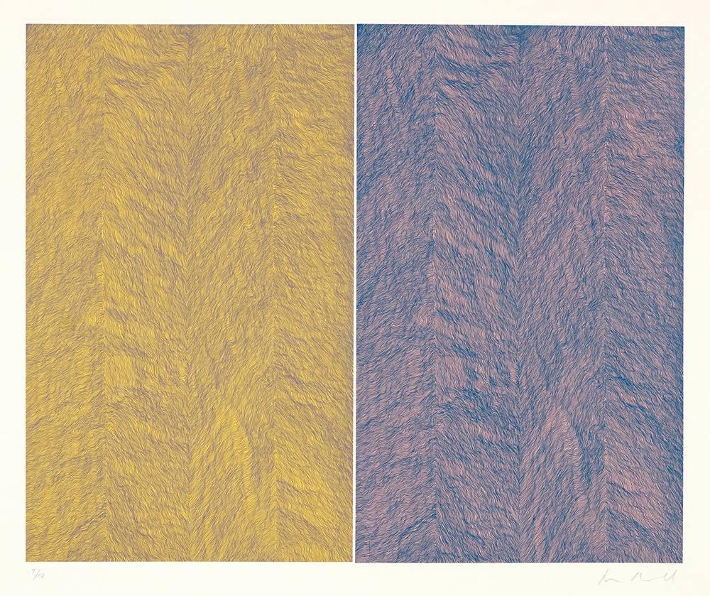 Ann Aspinwall Abstract Print – Tessuto Veneziano (c-5/10) zeitgenössische abstrakte Radierung und Chine-College-Druck
