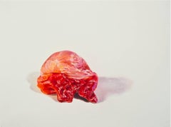 Julia Randall, Burnt Orange, Photorealist colored pencil drawing, 2011