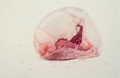 Julia Randall, Blush Pink, Photorealist colored pencil drawing, 2012