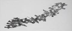 Ray Kass, Bark-Ing 05-30-2016, Abstract graphite drawing on paper, 2016