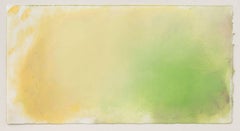 Daisy Craddock, Cantaloupe Study (Flesh), Abstract oil pastel, 2017