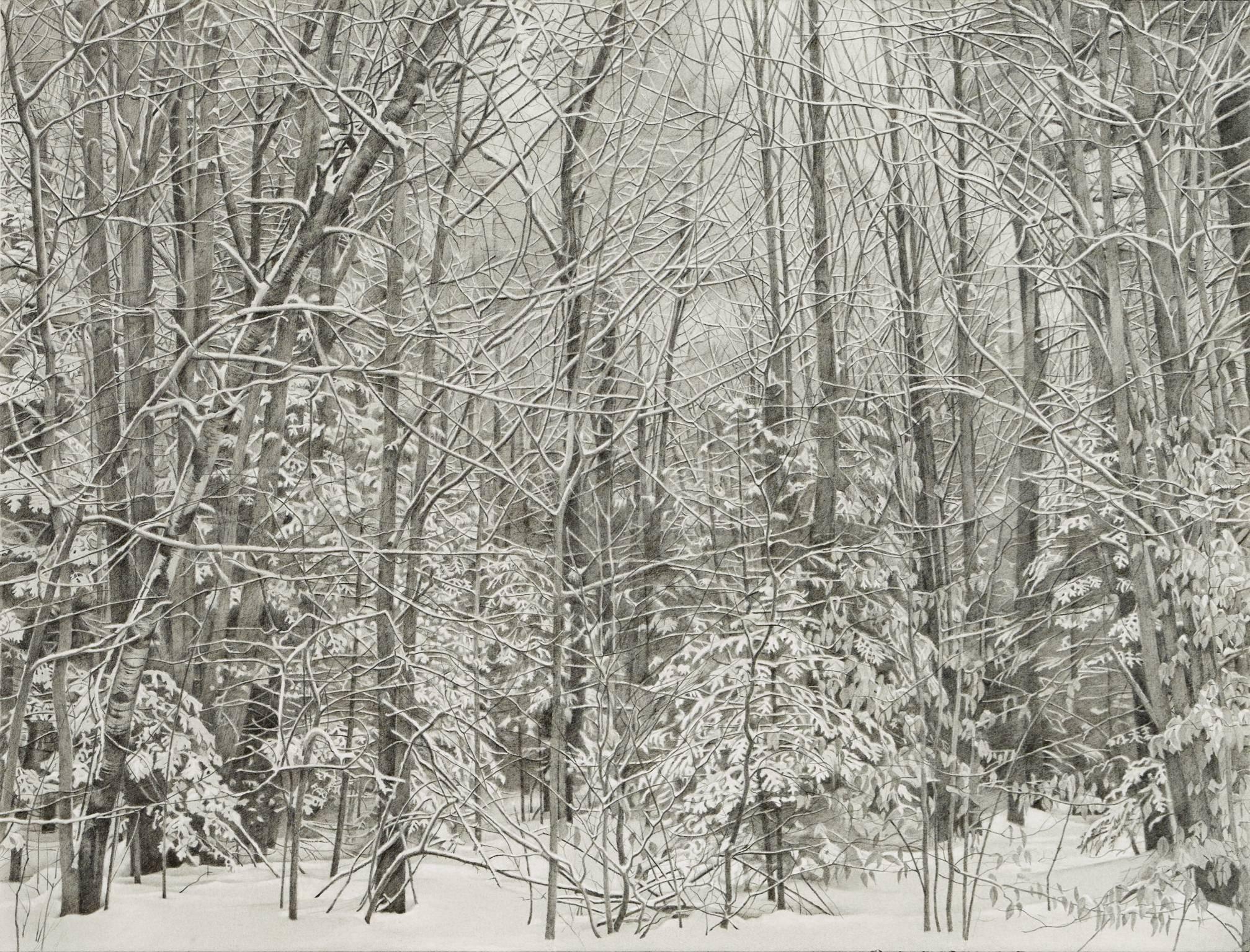 Mary Reilly Landscape Art - Snowy Forest
