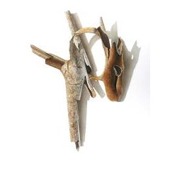 Sycamore Series 6 9