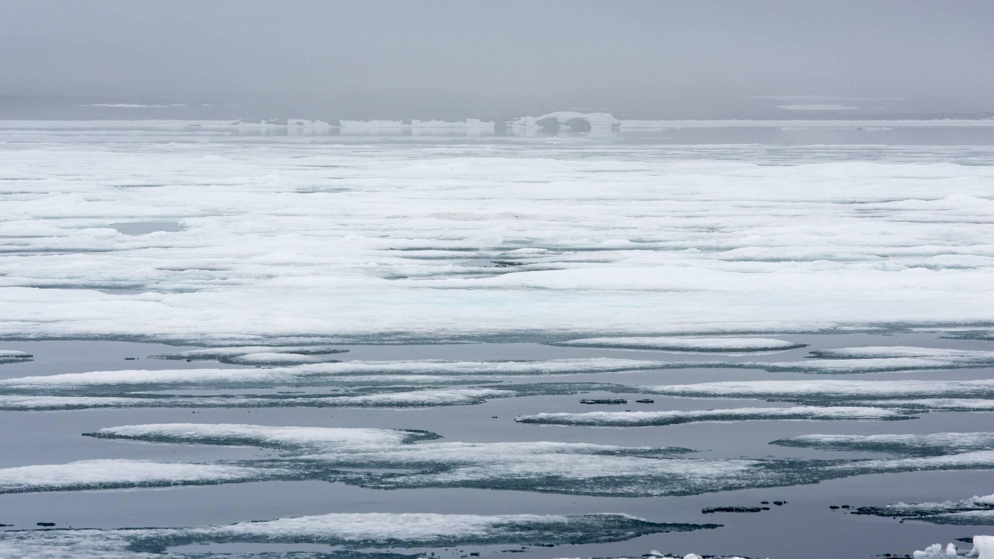 Leonard Sussman Landscape Photograph - Pack ice, Lady Franklinfjorden, Svalbard, Norway, July 2017, 2017