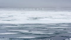 Pack ice, Lady Franklinfjorden, Svalbard, Norway, July 2017, 2017