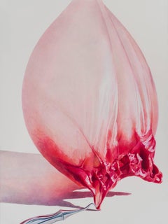 Julia Randall, Pulled Raspberry, Photorealist colored pencil drawing, 2013