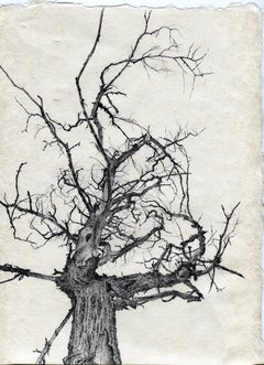 Dina Brodsky, Tree No. 89, April 27th, 2016, Pen on paper landscape drawing