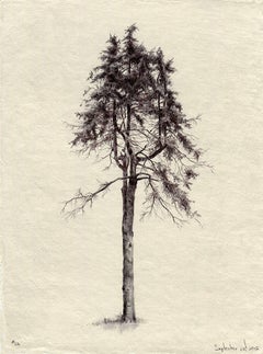 Dina Brodsky, Tree No. 26, Ballpoint pen on paper figurative miniature, 2015