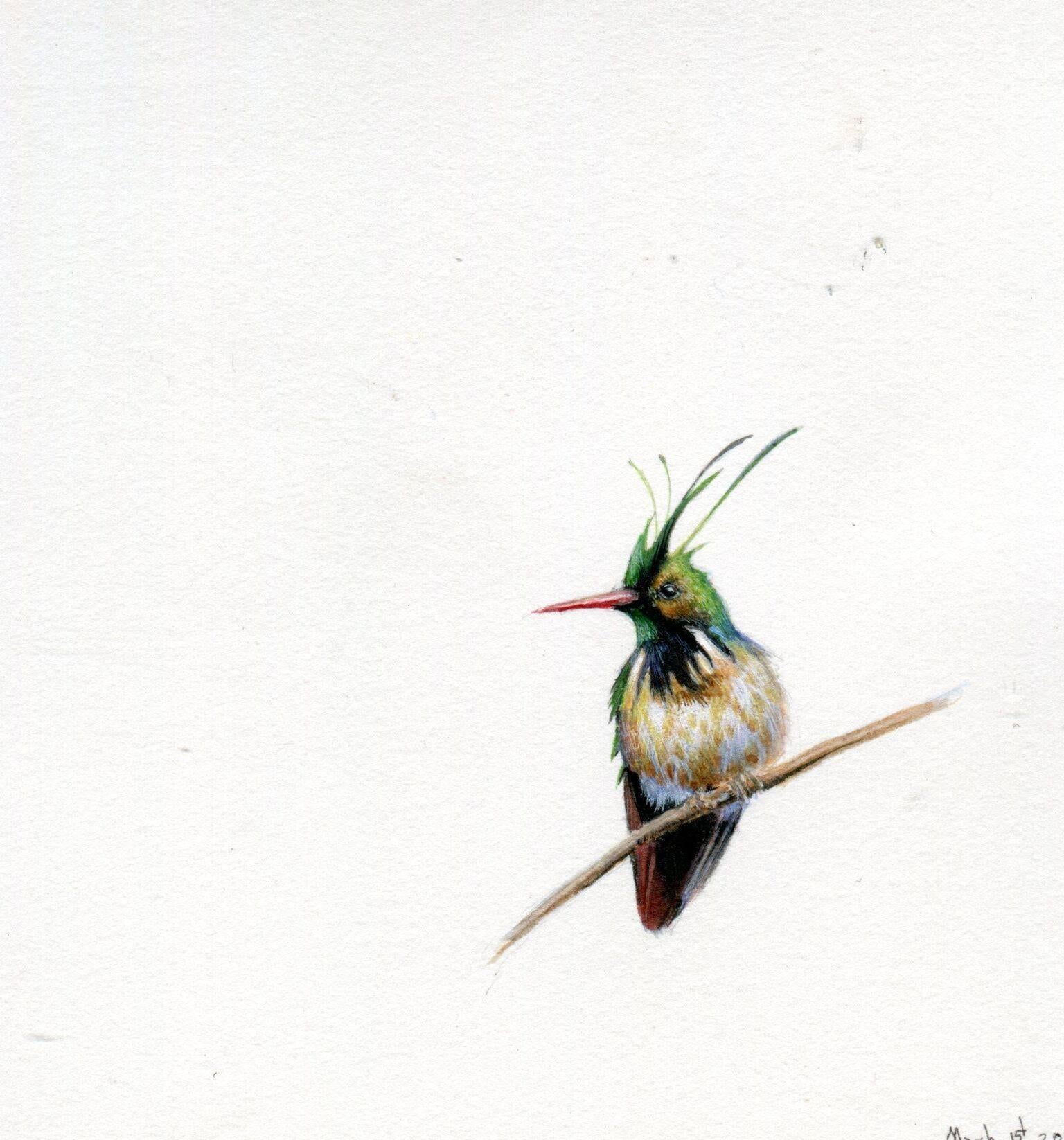 In the miniature Humming bird, Dina Brodsky makes regal the demure bird with vibrant blue, yellow, and green ink, gouache, and watercolor. Despite the scale of the miniature, the humming bird is monumentalized by its posture and the directness of