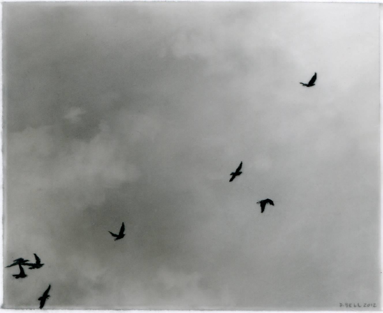 In her charcoal on mylar drawing, Flock, 7, Dozier Bell crystalizes the ephemeral moment of flight. The charcoal lends itself readily to capturing the fleeting atmospheric effects of the sky, while almost imprinting the forms of the birds into