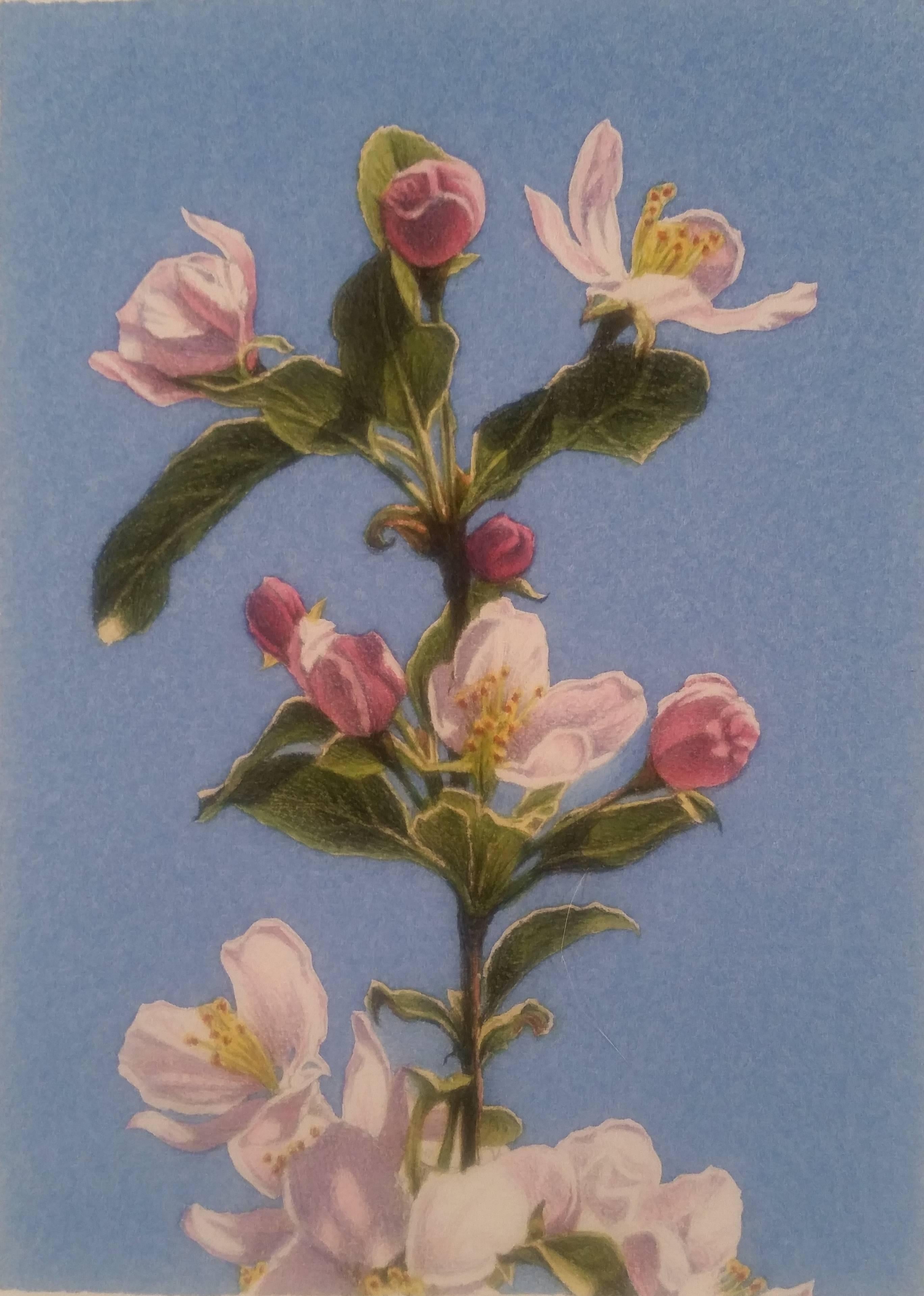 In his realist watercolor on paper still-life, Higan Cherry, Frederick Brosen renders the tender pink blooms in minute detail. The result of careful observation, Brosen achieves clarity in his representation without losing its softness and delicacy.